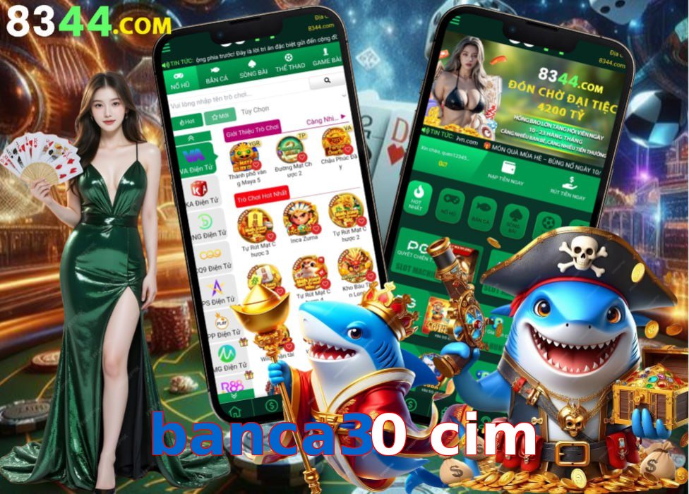 banca30 cim